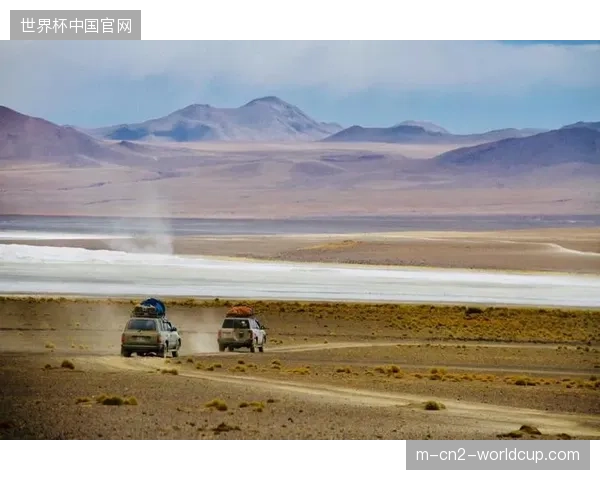 玻利维亚队凭借高原生理适应优势，计划在墨西哥城赛区执行高强度逼抢战术